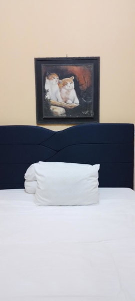 Bougenville Homestay, Lembar, Indonesia