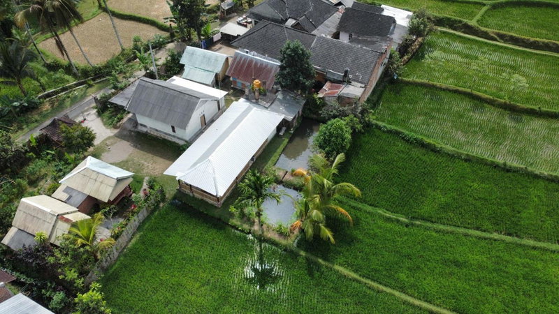 Farmer homestay, Tetebatu, Indonesia
