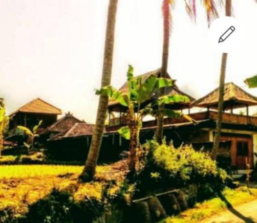 Pondok Diana 3, Indonesien