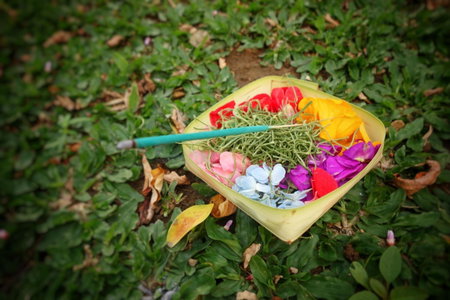 Petit Tree, Seminyak, Indonesia