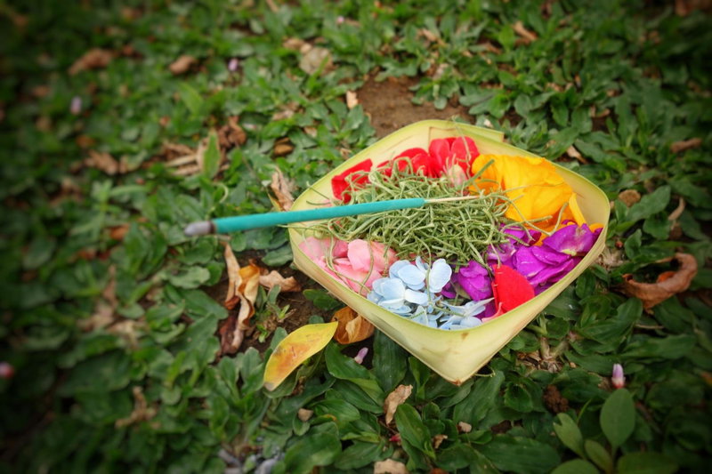 Petit Tree, Seminyak, Indonesia
