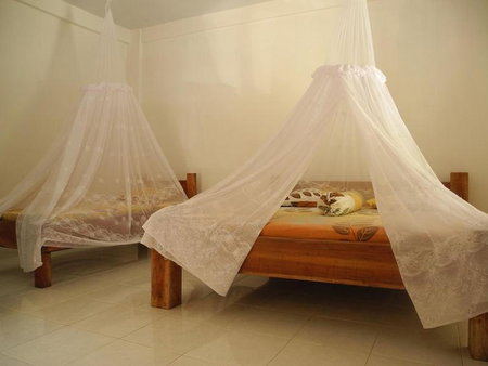 Riverside Guesthouse and Treks, Bukit Lawang, Indonesia