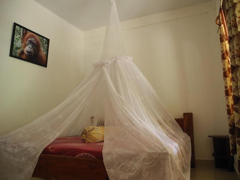 Riverside Guesthouse and Treks, Bukit Lawang, Indonesia