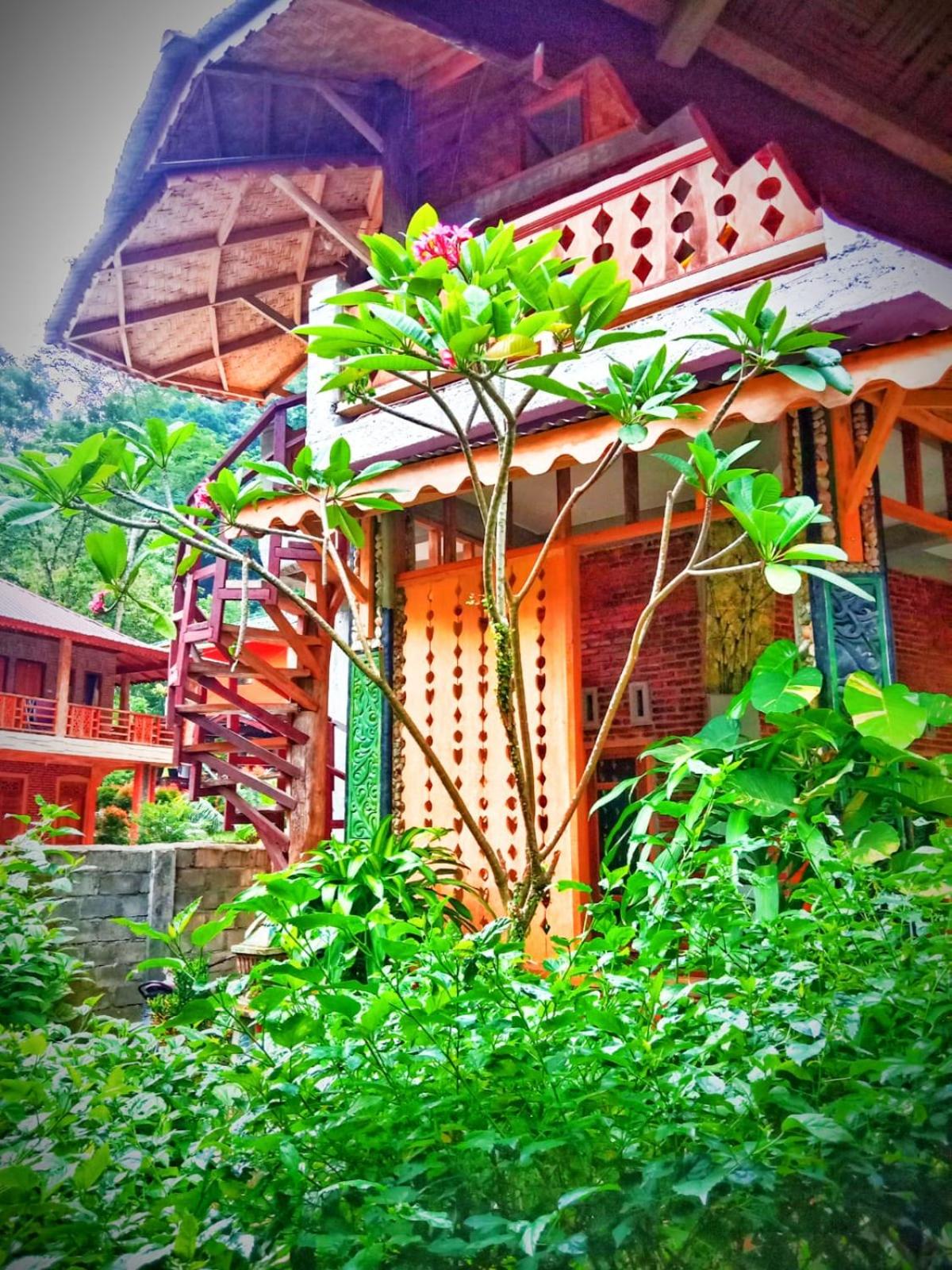 Eriono guest house Bukit lawang, Indonesia
