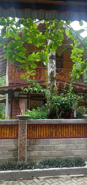 Eriono guest house Bukit lawang, Bukit Lawang, Indonesia