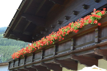 Appartements Falkner Dorli, Oetz, Austria