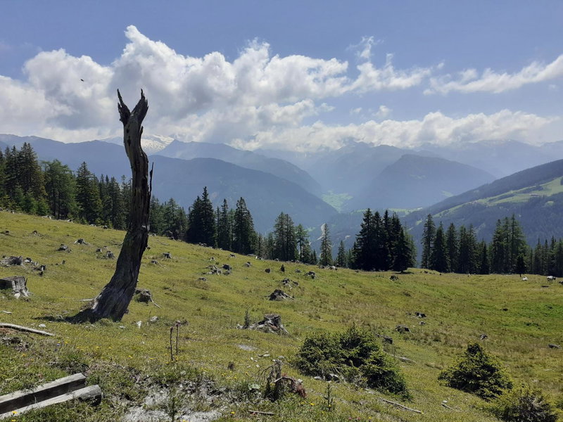 Apartment Serlesblick, Ellbögen, Austria