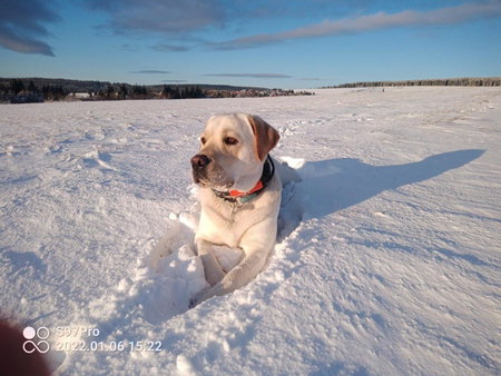 Pension Čáda, Boží Dar, Czechia