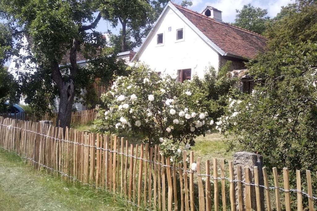 Hotel · Útulný domek s malou zahrádkou, Dačice