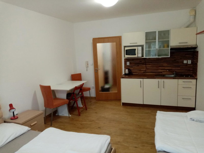 Apartmán v Lipně nad Vltavou 25, Lipno nad Vltavou, Czechia