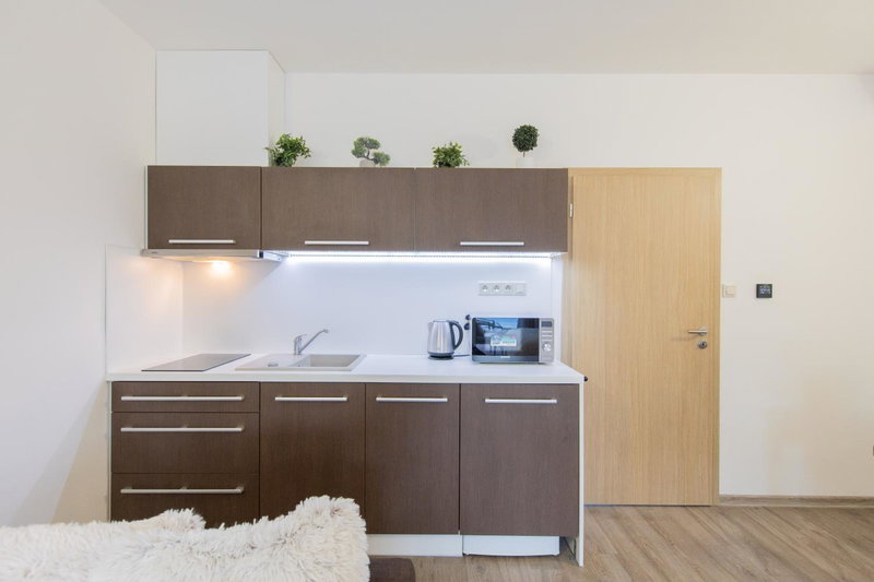 Apartmán Sophia 4 s terasou, Velké Losiny, Czechia