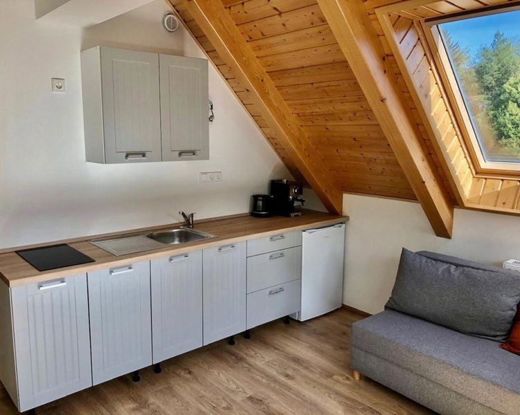 Apartman Riviera 41, Lipno nad Vltavou, Czechia