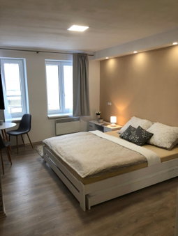 Apartmán U Zlaté hroudy, Zlaté Hory, Czechia