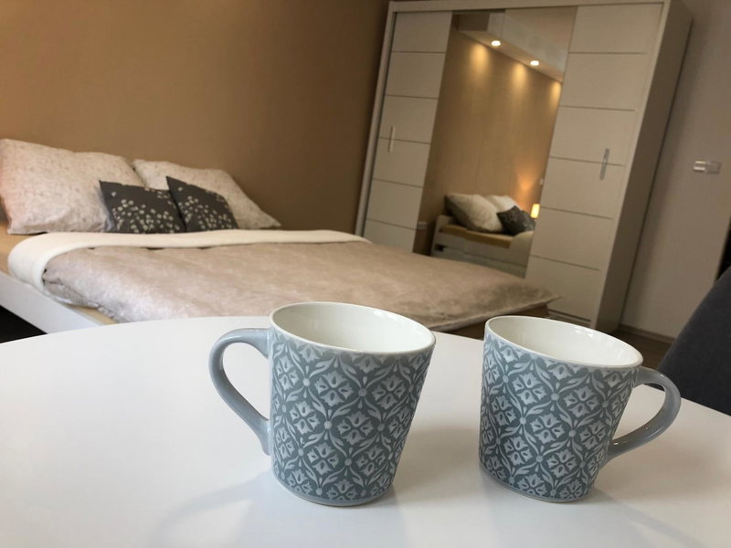 Apartmán U Zlaté hroudy, Zlaté Hory, Czechia