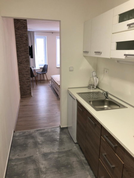 Apartmán U Zlaté hroudy, Zlaté Hory, Czechia