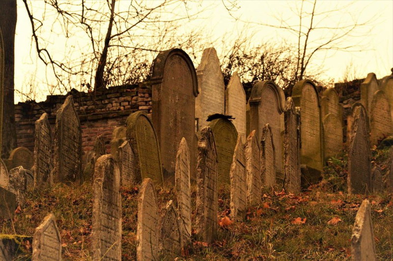 Penzion David, Třešť, Czechia