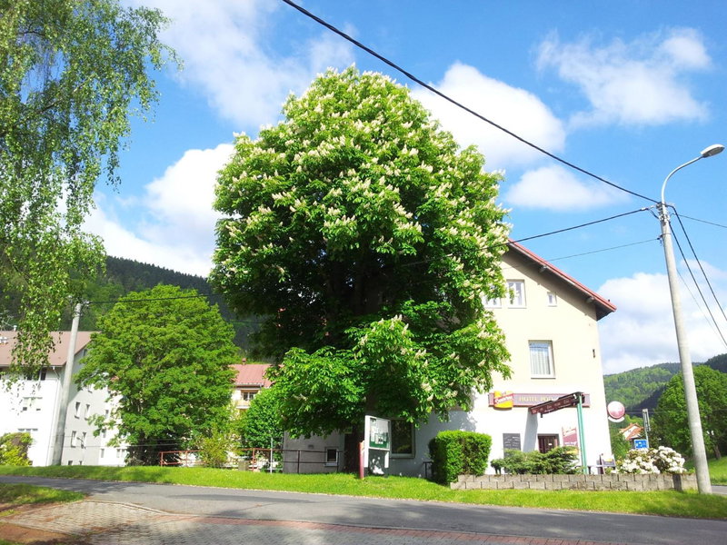 Guest House Pod Lesem Merklín, Merklín, Czechia