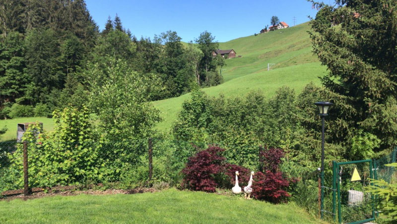 Appenzellerland - Ferienhaus "Bömmeli", Hundwil, Switzerland