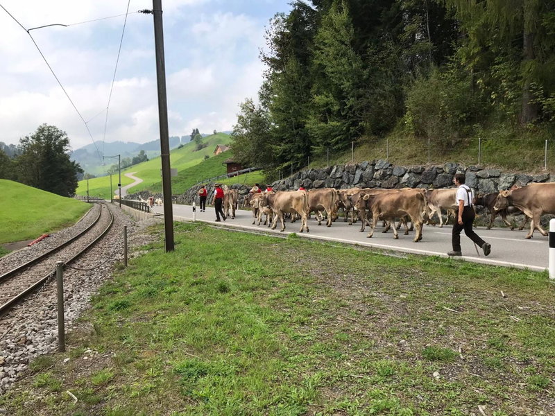 Appenzellerland - Ferienhaus "Bömmeli", Hundwil, Switzerland