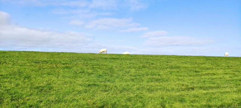 Amelander Kaap 39, Hollum, The Netherlands