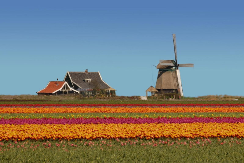 Het Dobbertje, charmant houten huisje, Sint Maartensvlotbrug, The Netherlands