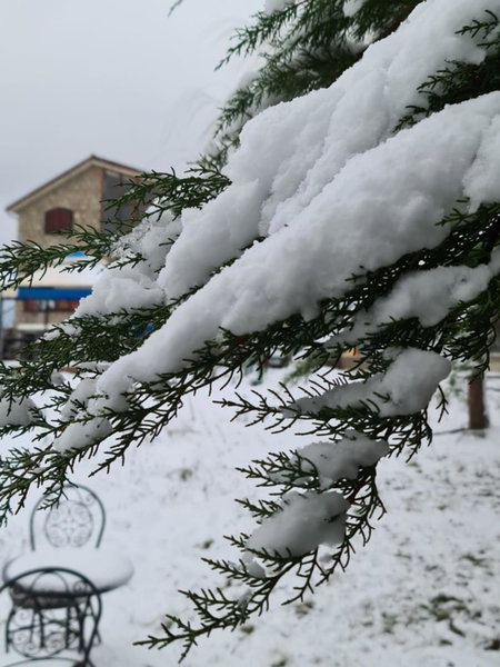 La pommeraie d'Ifrane, Ifrane, Morocco