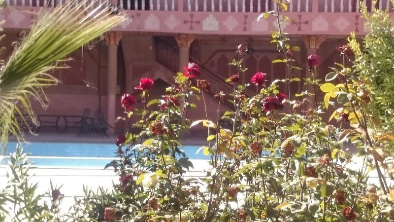 Hotel Mandar Saghrou Tazakhte, Kalaat MGouna, Morocco