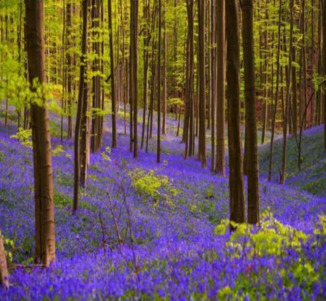 Chateau Beersel Gf Masio, Beersel, Belgium