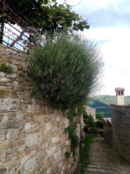 Rooms Serafin, Motovun, Croatia