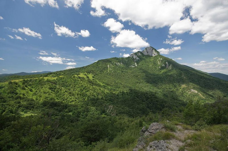 Apartment Gorska vila, Ogulin, Croatia