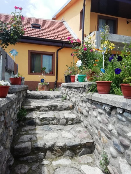 Casa Darius, Orşova, Romania