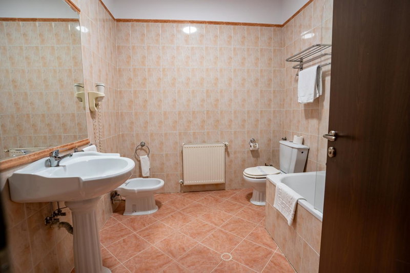 Hotel Aurelia, Timişoara, Romania