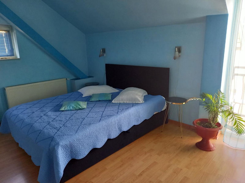 Pensiunea Vila Dana, Cluj-Napoca, Romania