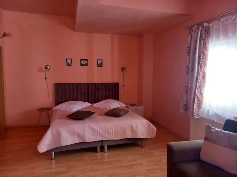 Pensiunea Vila Dana, Cluj-Napoca, Romania