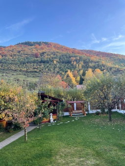 Pensiunea Vătafu, Gura Rîului, Romania