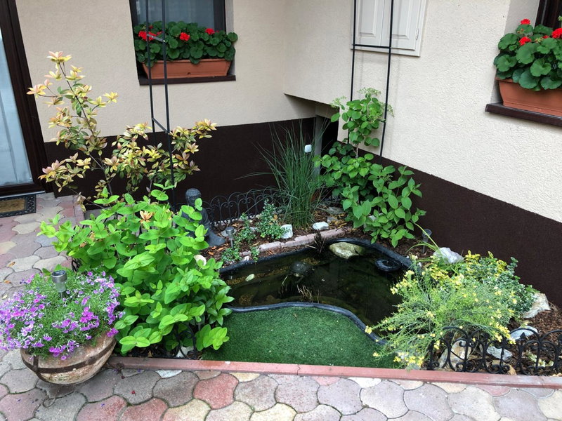Milla Apartman, Szentendre, Hungary
