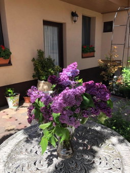 Milla Apartman, Szentendre, Hungary