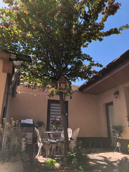 Milla Apartman, Szentendre, Hungary