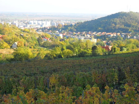 Lótuszvirág Vendégház, Szekszárd, Hungary