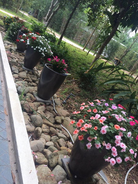 Flamingo Dailai - HQ villa, Ngọc Quang, Vietnam