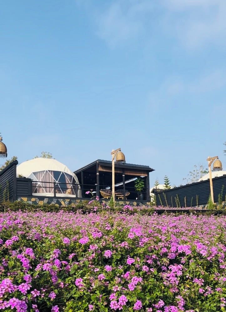 Olala Glamping, Vietnam