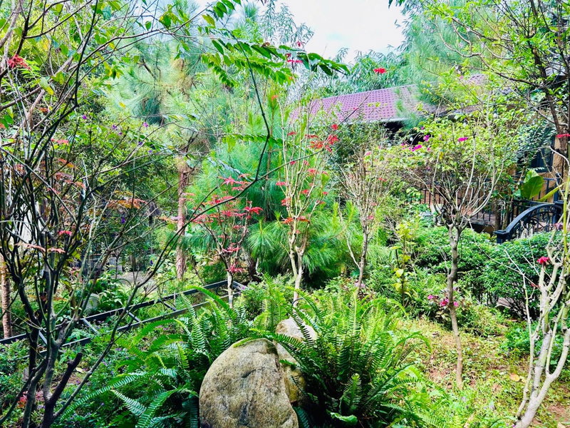 BAZAN HOME - Hotel & Bungalow, Pleiku, Vietnam