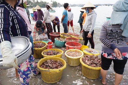 Ngoc Sang Guesthouse, Mui Ne, Vietnam