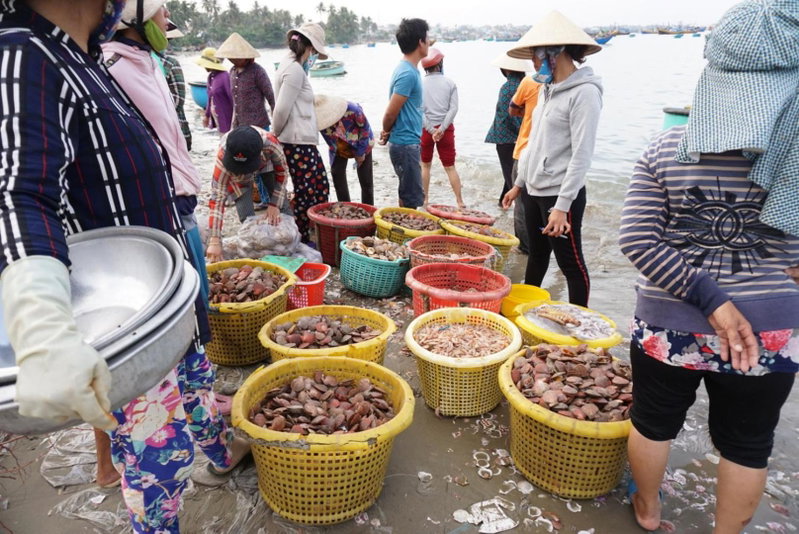 Ngoc Sang Guesthouse, Mui Ne, Vietnam