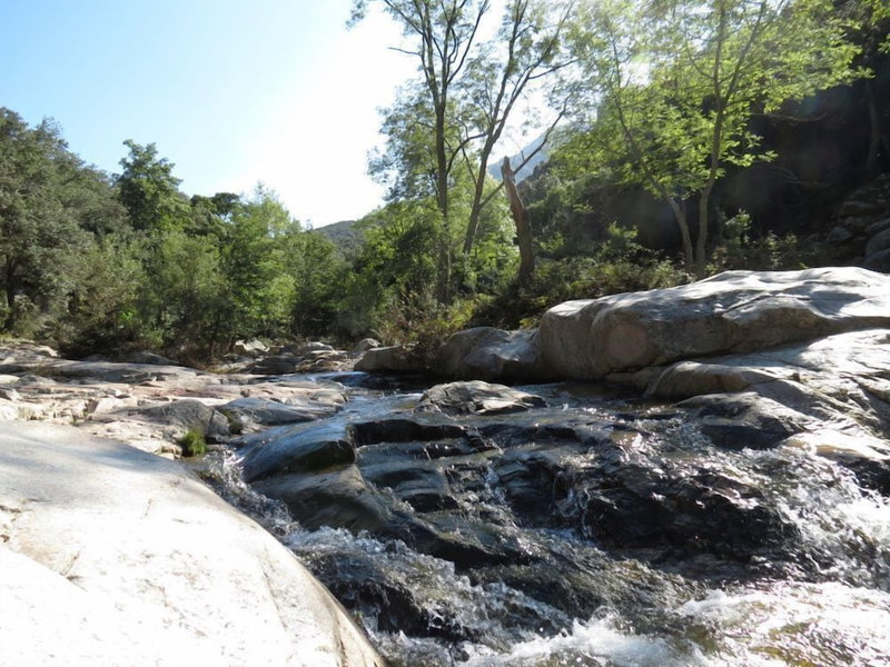 La Picholine, Sorede, France