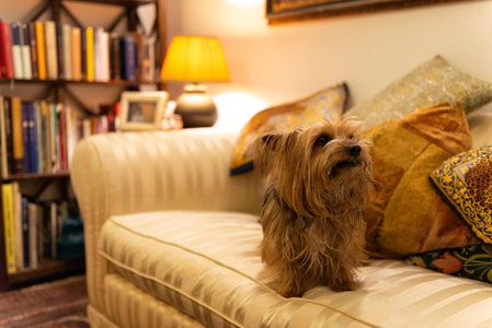 B&B La Scalinatella, Rome, Italy