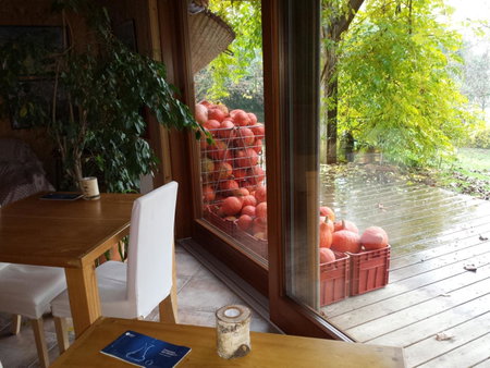 BioAgriturismo Vegan Campo di Cielo, Cesiomaggiore, Italy
