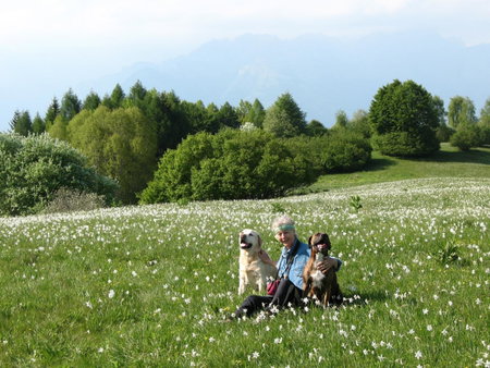 BioAgriturismo Vegan Campo di Cielo, Cesiomaggiore, Italy