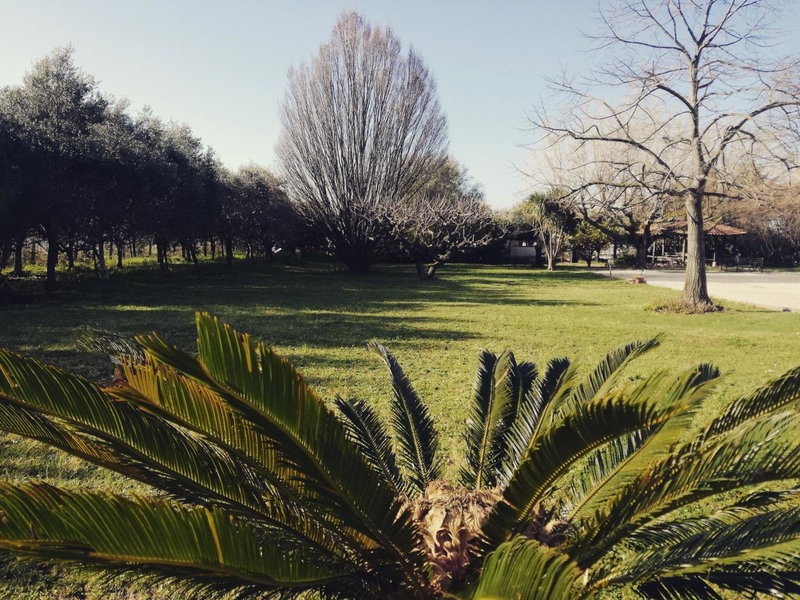 B&B Villa Napoli, Battipaglia, Italy