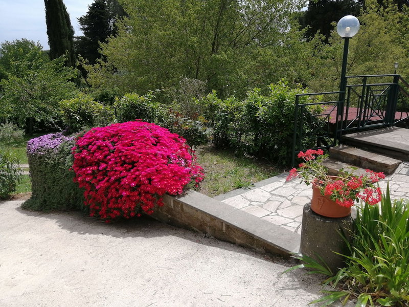 Vigna dell'Agrifoglio Home Residence di Eugenio Azzolini, Velletri, Italy